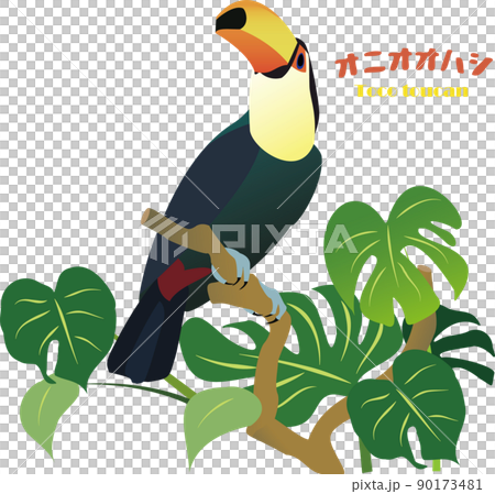 Toco toucan bird 90173481