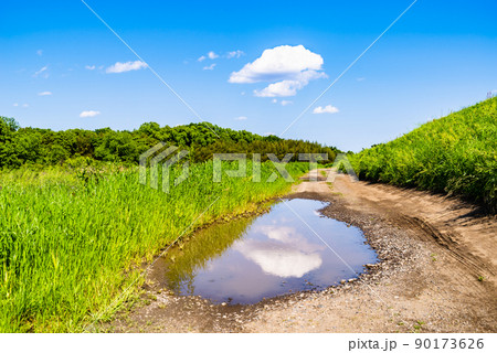 雨上がりの水溜まりと未舗装路 初夏の自然の緑　b-2 ローアングル 高彩度コントラスト 90173626