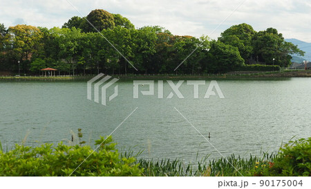 池田湖公園(長崎県大村市) 池田湖公園(長崎県大村市) 90175004