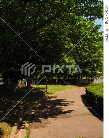 池田湖公園(長崎県大村市) 池田湖公園(長崎県大村市) 90175007