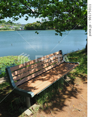 池田湖公園(長崎県大村市) 池田湖公園(長崎県大村市) 90175011