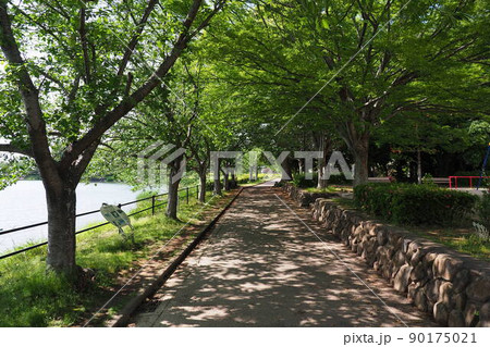 池田湖公園(長崎県大村市) 池田湖公園(長崎県大村市) 90175021
