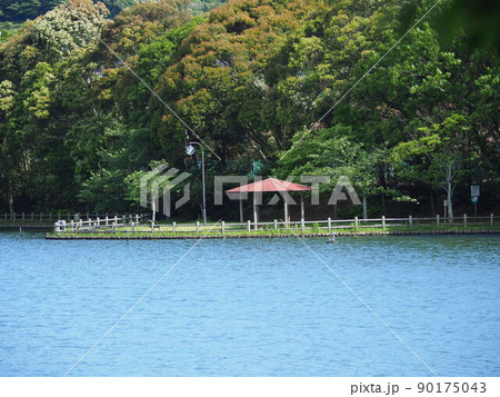 池田湖公園(長崎県大村市) 池田湖公園(長崎県大村市) 90175043