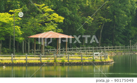 池田湖公園(長崎県大村市) 池田湖公園(長崎県大村市) 90175049