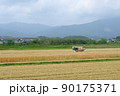 収穫中の麦畑 90175371