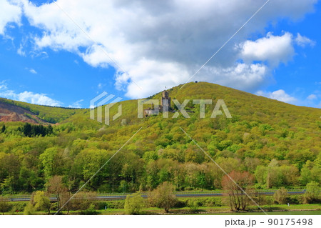 ドイツ　ライン川　周辺　クルーズ　ローレライ 90175498