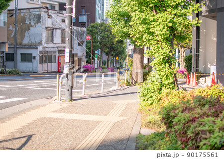 本郷弥生交差点/東京都文京区 本郷弥生交差点/東京都文京区 90175561