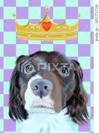 犬　動物　ティアラ　王冠　ペット　ブリタニースパニエル 90175738