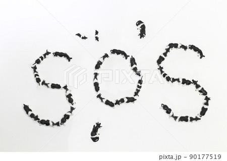 牛のジオラマ SOS ヴィーガン 牛のジオラマ SOS ヴィーガン 90177519