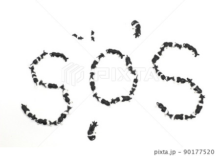 牛のジオラマ　SOS　ヴィーガン　 90177520