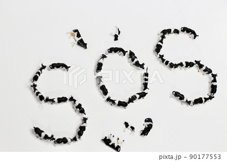 牛のジオラマ SOS ヴィーガン 牛のジオラマ SOS ヴィーガン 90177553