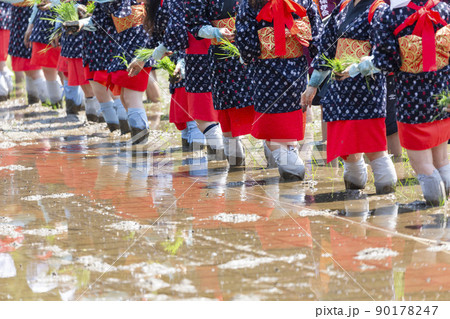 〈島根県〉入間花田植え 〈島根県〉入間花田植え 90178247