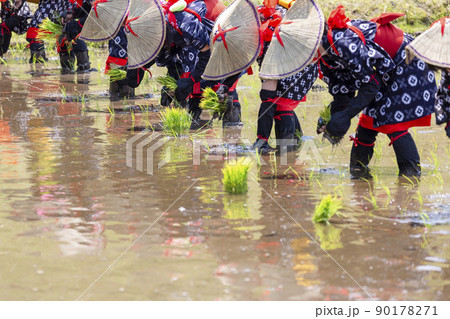 〈島根県〉比田の花田植え 〈島根県〉比田の花田植え 90178271