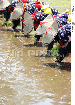 〈島根県〉比田の花田植え 〈島根県〉比田の花田植え 90178273