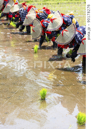 〈島根県〉比田の花田植え 〈島根県〉比田の花田植え 90178276