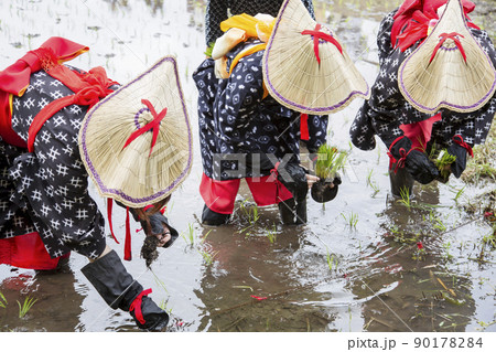 〈島根県〉比田の花田植え 〈島根県〉比田の花田植え 90178284