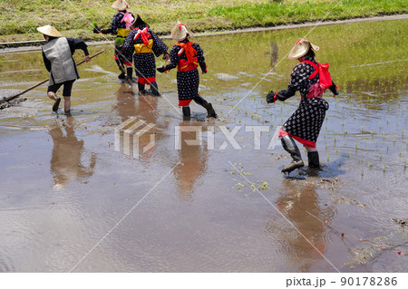 〈島根県〉比田の花田植え 〈島根県〉比田の花田植え 90178286