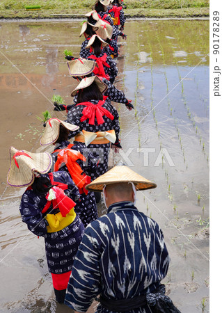 〈島根県〉比田の花田植え 90178289