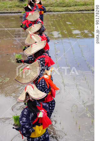 〈島根県〉比田の花田植え 〈島根県〉比田の花田植え 90178290