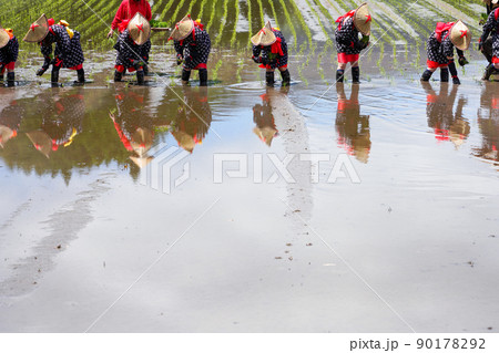 〈島根県〉比田の花田植え 90178292