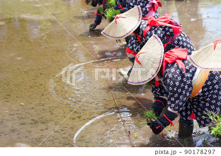 〈島根県〉比田の花田植え 90178297