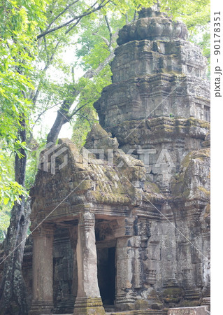 壮麗な世界遺産を楽しめる！カンボジア　アンコールワット遺跡やプリアヴィヒア、ベンメリア遺跡 90178351