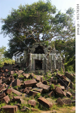 壮麗な世界遺産を楽しめる！カンボジア　アンコールワット遺跡やプリアヴィヒア、ベンメリア遺跡 90178364