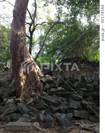 壮麗な世界遺産を楽しめる！カンボジア　アンコールワット遺跡やプリアヴィヒア、ベンメリア遺跡 90178366