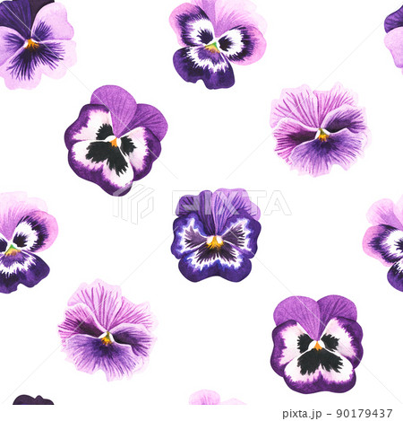 Seamless violet pattern. Pansies. Watercolor illustration. Isolated on a white background. 90179437