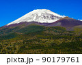 冠雪の富士山 90179761