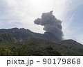 桜島の噴火　湯の平展望所からの眺望 90179868