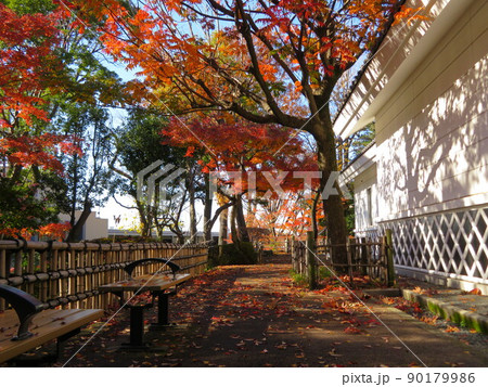 東京都大田区蘇峰公園 東京都大田区蘇峰公園 90179986