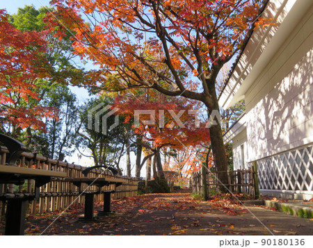 東京都大田区蘇峰公園と山王草堂記念館 東京都大田区蘇峰公園と山王草堂記念館 90180136