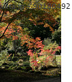 森の中の池に映る紅葉 90180492