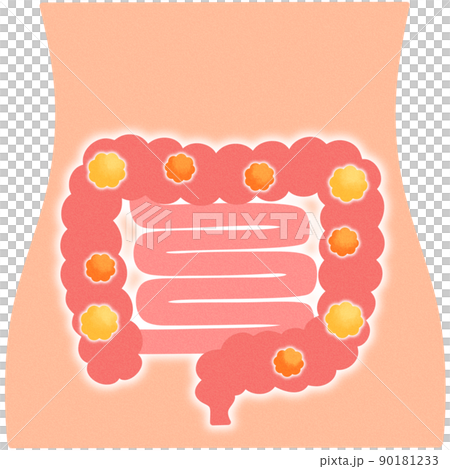 腸道有很多好細菌 90181233