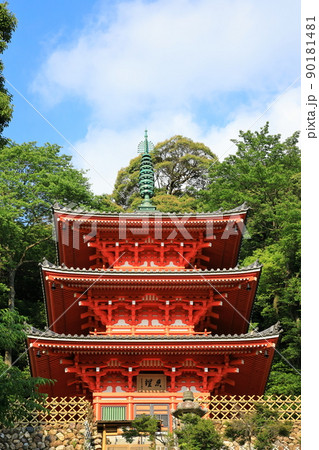 岐阜公園から望む三重塔 岐阜公園から望む三重塔 90181481