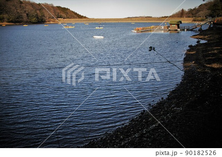 宮沢溜池の湖面 90182526