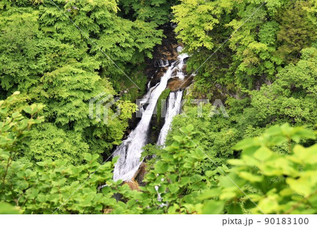 栃木県日光市 新緑の霧降の滝 栃木県日光市 新緑の霧降の滝 90183100