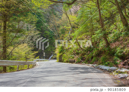 初夏の中房渓谷【安曇野市穂高】 90185809