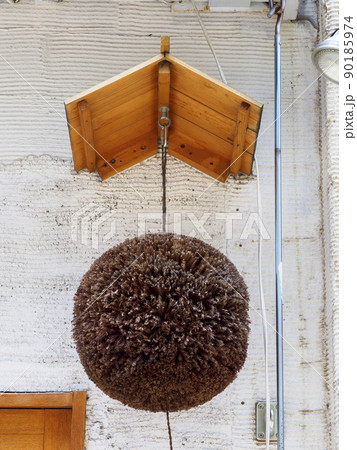 杉玉 杉玉 90185974