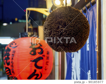 杉玉 杉玉 90185977