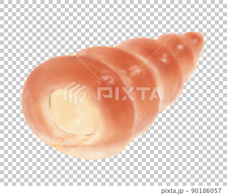 カスタードクリームのコロネ カスタードクリームのコロネ 90186057