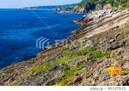 【新潟・佐渡ジオパーク】国指定 天然記念物：平根崎の波食甌穴群  90187033