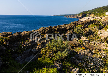 【新潟・佐渡ジオパーク】国指定 天然記念物:平根崎の波食甌穴群 【新潟・佐渡ジオパーク】国指定 天然記念物:平根崎の波食甌穴群 90187034