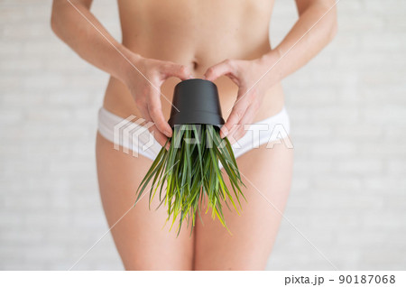 Bikini area depilation. Advertising Brazilian laser bikini line hair removal. A woman in white underwear is holding a potted plant. Epilation of vegetation in the intimate zone. 90187068