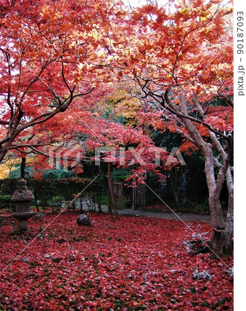 京都 厭離庵の紅葉 京都 厭離庵の紅葉 90187093