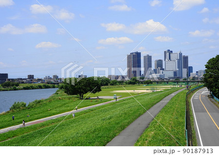 5月　川崎316武蔵小杉高層ビル群と多摩川ガス橋緑地(大田区) 90187913