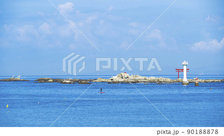 湘南三浦半島の神奈川県三浦郡葉山町の初夏 湘南三浦半島の神奈川県三浦郡葉山町の初夏 90188878