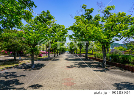 五色台の香川県総合運動公園（香川県高松市） 90188934