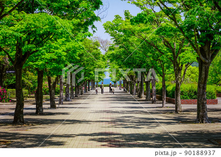 五色台の香川県総合運動公園（香川県高松市） 90188937